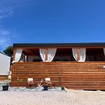 Turtle - Lovely, Brand New Near The Sea