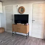 Turtle - Lovely, Brand New Near The Sea