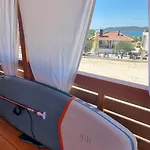 Turtle - Lovely, Brand New Near The Sea