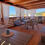 Turtle - Lovely, Brand New Near The Sea