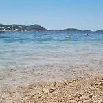 Turtle - Lovely, Brand New Near The Sea Drage