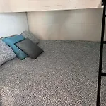 Turtle - Lovely, Brand New Near The Sea
