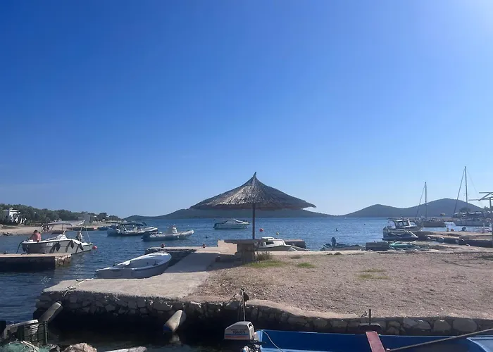 Turtle - Lovely, Brand New Near The Sea
