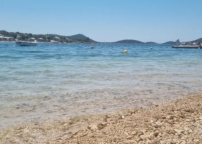 Turtle - Lovely, Brand New Near The Sea Drage