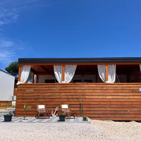 Turtle - Lovely, Brand New Near The Sea