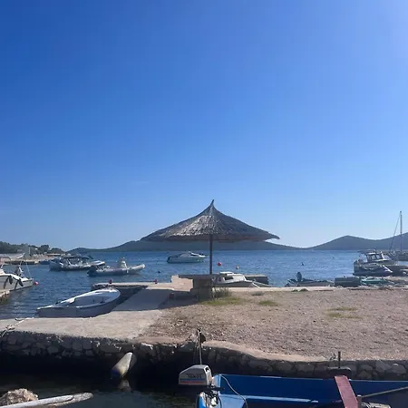 Turtle - Lovely, Brand New Near The Sea