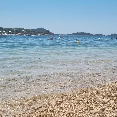 Turtle - Lovely, Brand New Near The Sea Drage