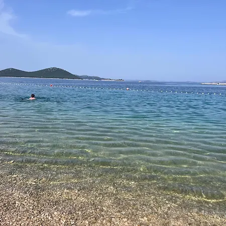 Turtle - Lovely, Brand New Near The Sea Drage