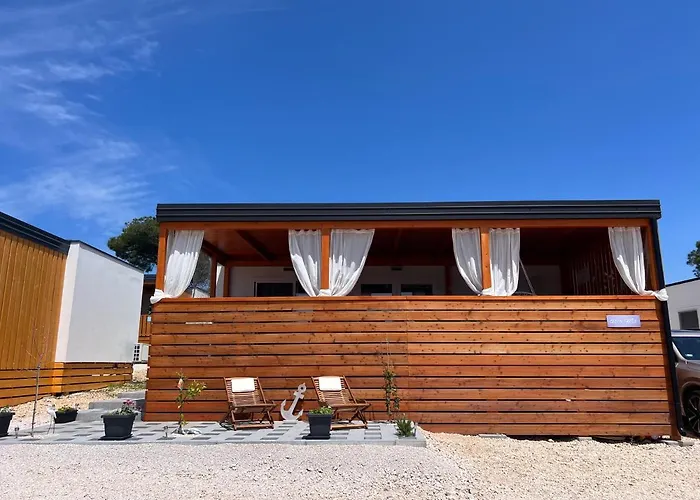 Turtle - Lovely, Brand New Near The Sea