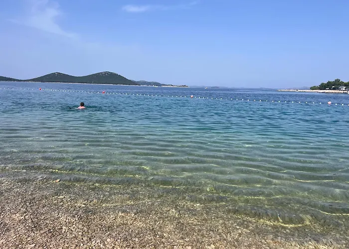 Turtle - Lovely, Brand New Near The Sea דראגה